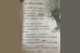 二年级语文下册第九课《枫树上的喜鹊》手抄随堂笔记，复习专用图片