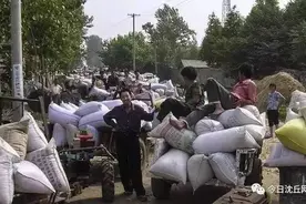 交公粮(用事实说话)图片