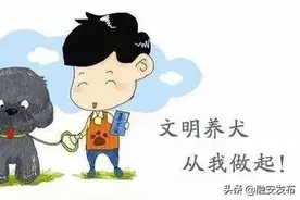 文明养犬！请给您的爱犬带上犬链、嘴套图片