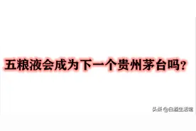 五粮液时代已经到来，今后真的能超越茅台吗图片