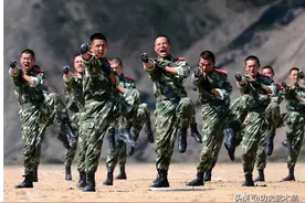 动画教学：军体格斗拳5组21式，一看就会！赶紧学起来图片