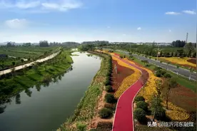 河东区再获一省级荣誉图片