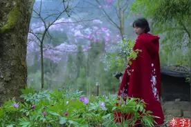 李子柒春日鲜花宴上热搜！年初却为了奶奶停更，网友泪目，陪伴不能等图片