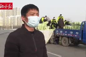 自掏腰包购万斤大白菜，山东小伙儿行驶上千里驰援妻子老家晋州市图片