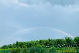 信义玻璃马来西亚工厂的天空，好干净清爽的感觉图片