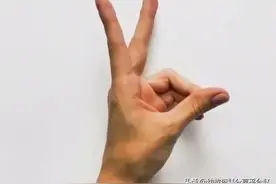 用手掌就可以完成的创意绘画图片