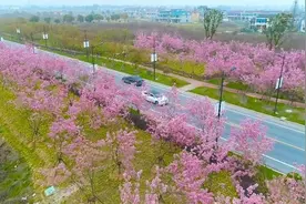 藏不住了！湖州人赏花就去这11个地方！大部分都免费图片