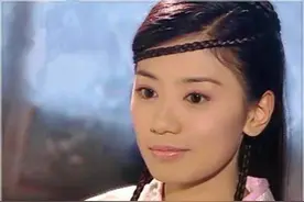 倚天后传：黄衫女与张无忌喜结连理，为张无忌生仨叱咤风云的儿子图片