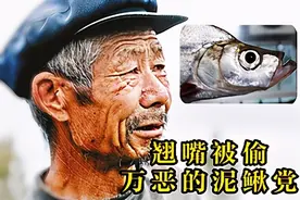 三千斤翘嘴一夜被钓完，“神饵泥鳅”为何让老大爷欲哭无泪？图片