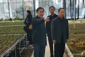 六安市农科院到霍山职业学校考察指导图片