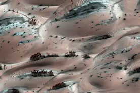 美国探测器2008年就拍到火星有“大树和森林”？照片不假却很诡异图片