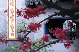 时光清浅，红颜若梦，唯美的爱情总带着梨花带雨的忧伤图片