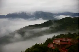 直播云游丫山康养胜境，全球网友向往的春天来了图片