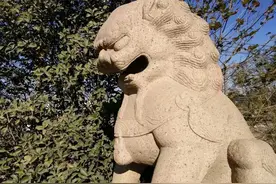 一天早上，男子打开门发现门口有一群蚂蚁，顿时吓坏了图片