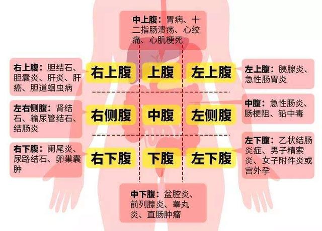 腹部疼痛千万不要大意了,要当心这几个疾病信号