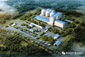 还在为吃不起“二师兄”发愁？贺州这一项目也许能解决大家的烦恼图片