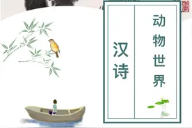 汉诗 | 动物世界图片