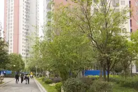 追踪！未验收维保、长期脱检，小区电梯被关停，业主自行打开电梯使用图片