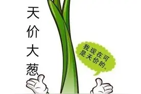 天天喊大葱大跌，全民抵制高价大葱，如今大葱价格为啥居高不下？图片