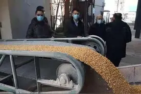 营口市发改委应急调运储备玉米保障全市畜牧产业平稳运行图片