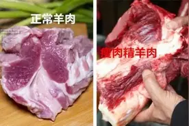 怎样识别肉类是否含有瘦肉精图片