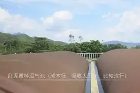 看！牲畜养殖废弃物如何“变废为宝”图片