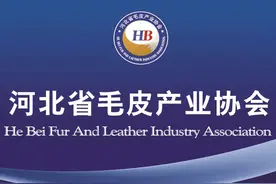 2021年上半年河北省毛皮行业市场简析图片