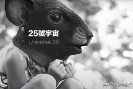 心理学分析连载（三）｜郑爽弃子：放弃自我——放飞自我——沉沦图片