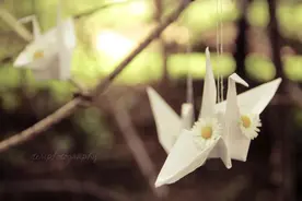 30岁以后，要远离垃圾亲戚，每一个建议，都是我的肺腑之言图片