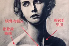一字型锁骨的秘密—你也可以拥有图片