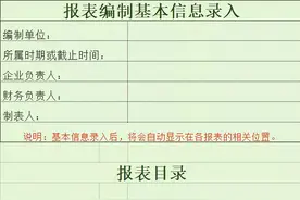全套财务分析模板.xls（2021年版）图片