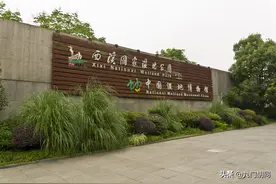 杭州西溪湿地公园图片