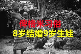 俾格米习俗：8岁结婚，9岁生娃，30岁四世同堂图片