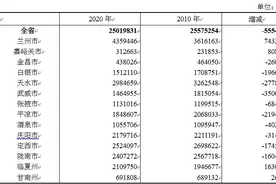定西市2020年常住人口2524097人，比十年前减少174525人图片