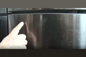 冰箱柜门上，爬满了白色小虫！才刚买回来半年图片