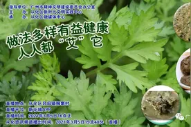 从化这种常见的植物浑身都是宝，人人都“艾”它！图片