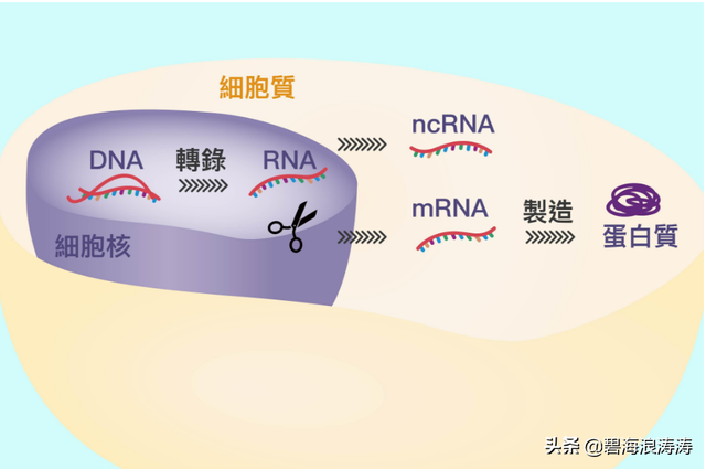 A股60家生物制药公司，谁能率先成功研发出mRNA新冠疫苗？