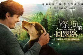 电影推荐（27）：暗讽美军败走阿富汗的《一条狗的回家路》图片