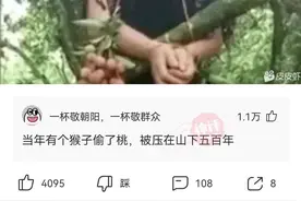 女子偷荔枝惨被直接绑到树上图片