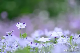 人生如戏，每个人都是自己戏中的主角图片