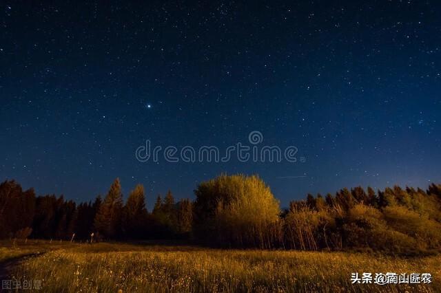 常见的氨基酸有十几种，在植物中的用法你知道吗？
