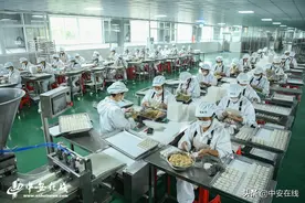 “带好孩子种好田，一天能挣百十元”劳模扶贫带来乡村“蝶变”图片