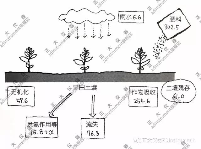 土壤中的氮循环