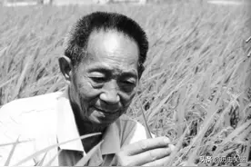 “杂交水稻之父”袁隆平，折服日本人，令美日德惊讶羡慕的科学家图片