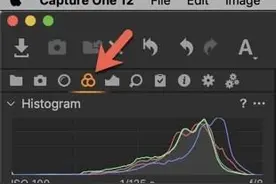 Capture One Pro中颜色分级的分步指南图片