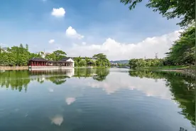 必看！广外南国商学院最全报考指南来了图片