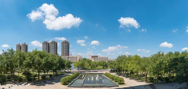 骄傲！陕西院士团队科研再获重大突破，成果获国际关注