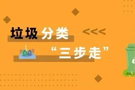 楼宇企业这么多？垃圾分类如何推进？“三步走”，出成效图片