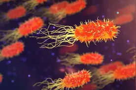 新时期微生物学研究的“知”与“行”图片