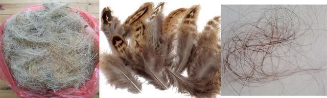 高效饲料添加剂：用猪毛、鸡毛、人毛、A3分解醇制作快速育肥技术